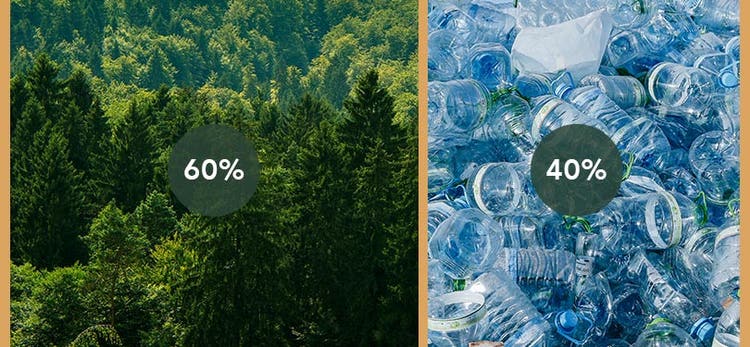 Sustainability