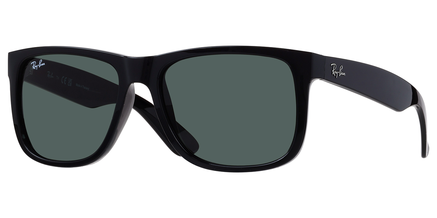 Ray-Ban® 4165 Sunglasses in Black 54mm | Eyeglass World